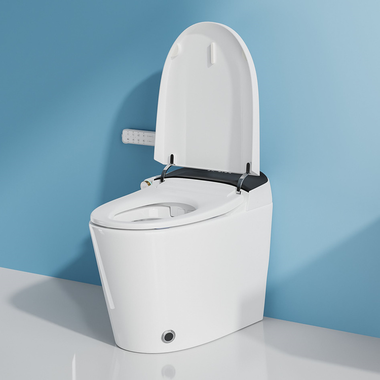 สุขภัณฑ์อัจฉริยะสำหรับตกแต่งบ้ - Home Bathroom Decor บทวิจารณ์และราคา
